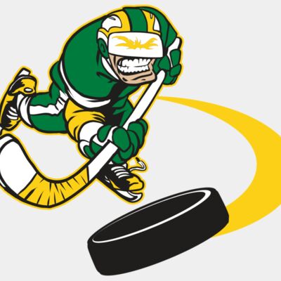 AR32 HOCKEY 02 RQC Thumbnail