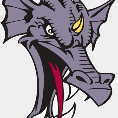 BAW DRAGON 05 RC Thumbnail