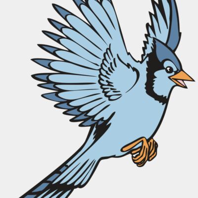 BAW BLUEJAY 12 RC Thumbnail