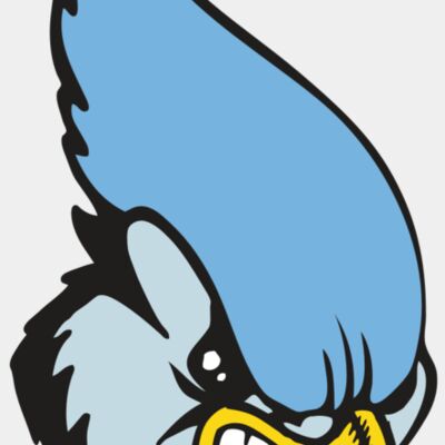 BAW BLUEJAY 05 RC Thumbnail