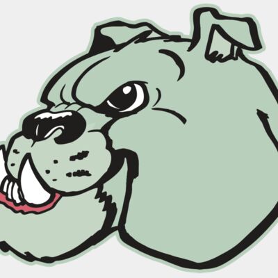 AR BDOG 29 RC Thumbnail