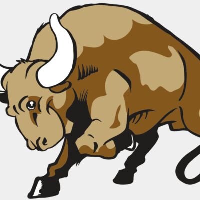 AR BULL 41 RC Thumbnail