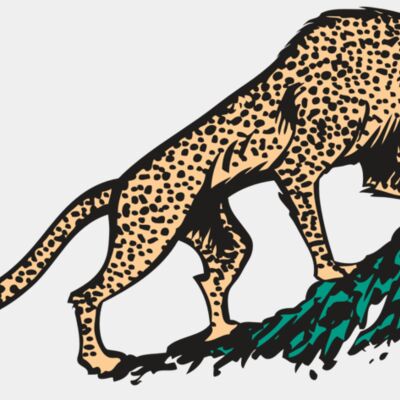 AR CHEETAH 02 RC Thumbnail