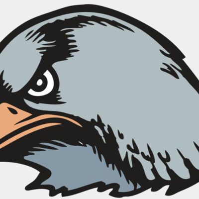 BAW HWK FLCN 03 RC Thumbnail