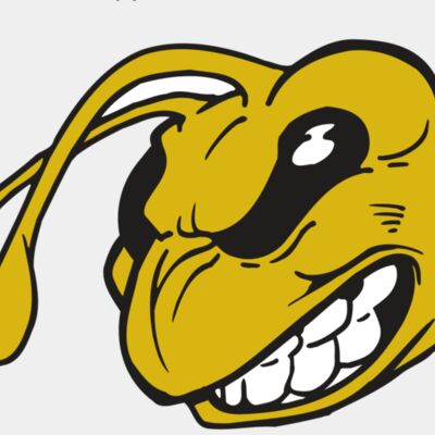 AR5 BEE 10 RQC Thumbnail