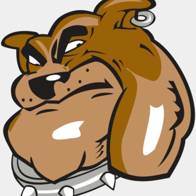 BULLDOG HD0501 RQC Thumbnail