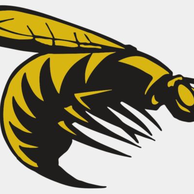 AR BEE 49 RC Thumbnail