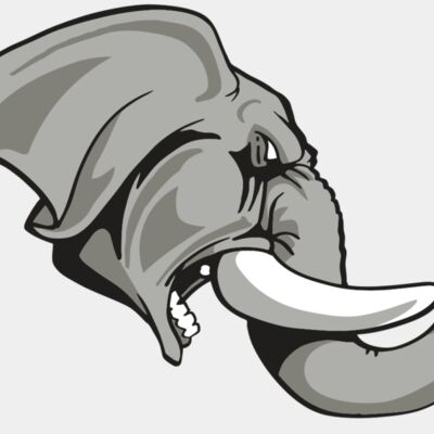 AR ELEPH 20 RC Thumbnail