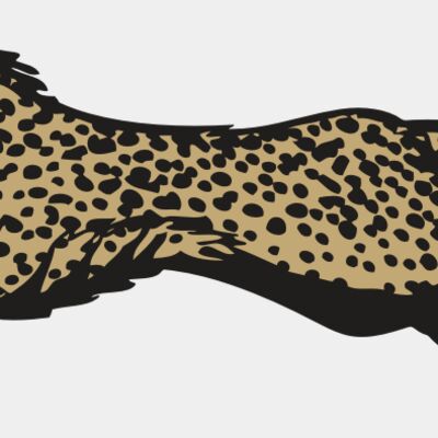 BAW CHEETAH 01 RC Thumbnail