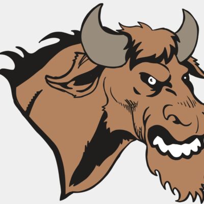 AR5 BULL 09 RQC Thumbnail