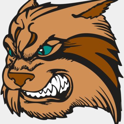 BAW WILDCAT 05 RC Thumbnail