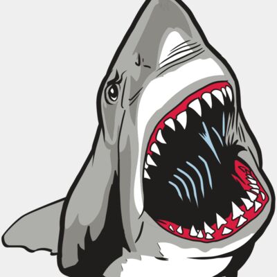 AR20 SHARK 45 RQC Thumbnail