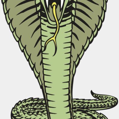 BAW SNAKE 15 RC Thumbnail