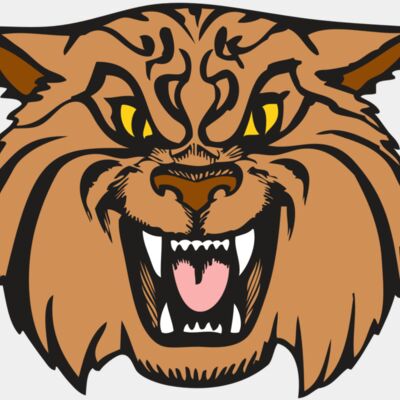 BAW WILDCAT 04 RC Thumbnail